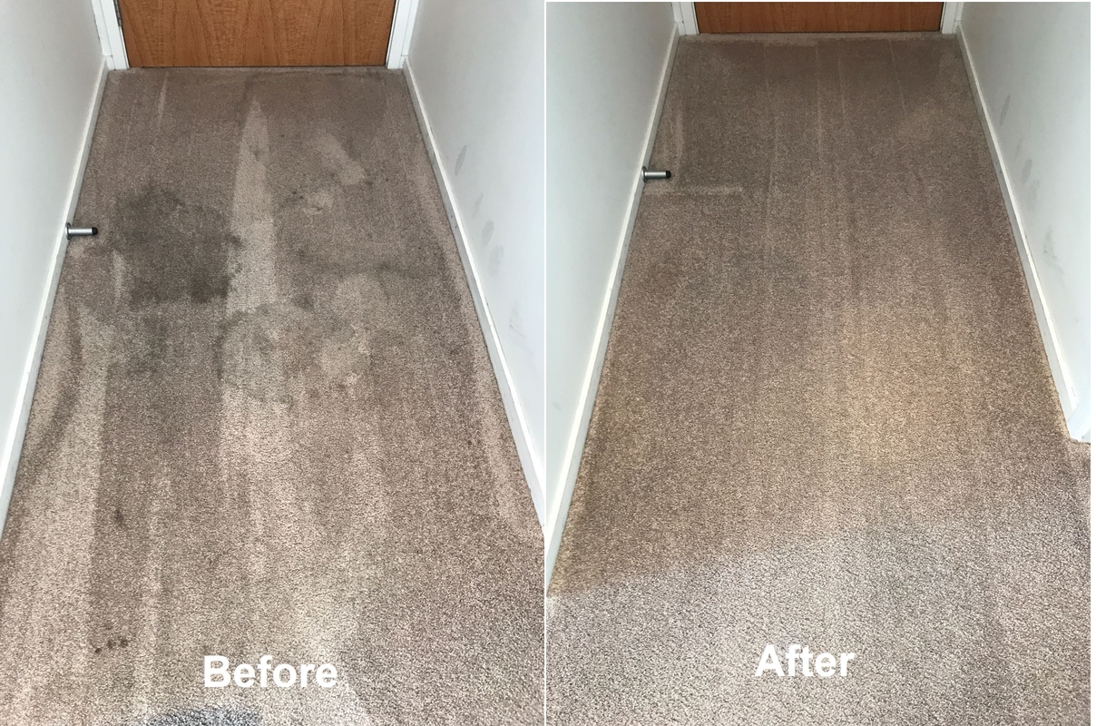 Carpet Cleaning Auckland Professional Service